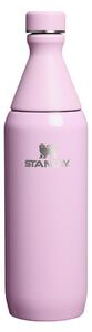Rožnata termovka iz nerjavečega jekla 600 ml All Day Slim Bottle Cherry Blossom Gloss – Stanley