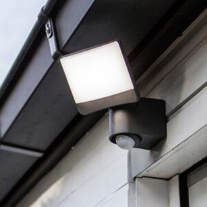 LUTEC Zunanji stenski reflektor SUNSHINE z LED-senzorjem, 15 cm, temno siva, IP44, Siva, Plastika, Sodobni, Stenski reflektor