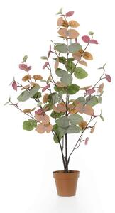 Mömax Umetna Rastlina Eukalyptus -Paz-
