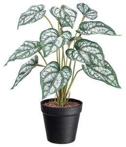 Modern Living Umetna Rastlina Syngonium Ii