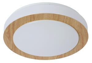 Lucide 79179/12/72 - LED Kopalniška stropna svetilka DIMY LED/12W/230V