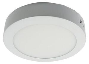 LED Stropna svetilka LED/12W/230V 6000K