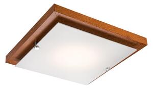 LED Stropna svetilka 1xLED/12W/230V - FSC certifikat