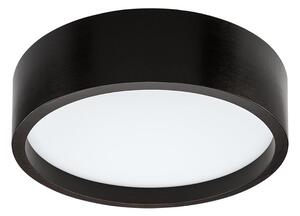 LED Stropna svetilka LED/35W/230V