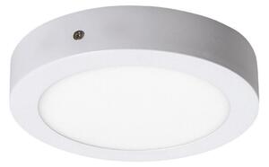 Rabalux 2655 - LED Stropna svetilka LOIS LED/12W/230V