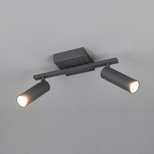 Trio Lighting Stropni reflektor Dara, dolžina 28 cm, antracit, kovina, 2-krilni., Črna, Dnevna soba / jedilnica, Kovina, Sodobni
