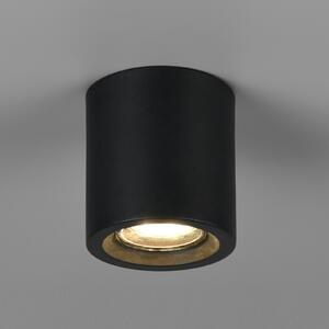 Trio Lighting Stropna svetilka Biscotto, mat črna, Ø 9,5 cm, kovina, IP44, Črna, Dnevna soba / jedilnica, Kovina, Sodobni