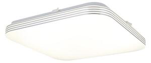 LED Stropna svetilka AJAX LED/17W/230V IP44