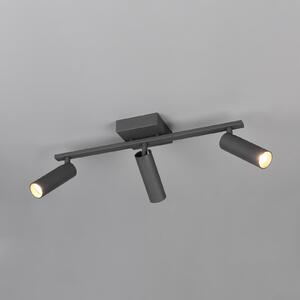 Trio Lighting Stropni reflektor Dara, dolžina 46 cm, antracitna barva, kovina, 3-krilni., Črna, Dnevna soba / jedilnica, Kovina, Sodobni