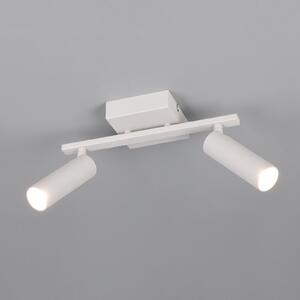 Trio Lighting Stropni reflektor Dara, dolžina 28 cm, siva barva, kovina, 2-krilni., Siva, Dnevna soba / jedilnica, Kovina, Sodobni
