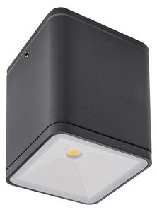 Redo 9198 - LED Zunanji reflektor BETA LED/6W/230V IP54