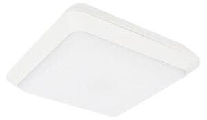 LED Zunanja stropna svetilka TIPO LED/24W/230V IP66