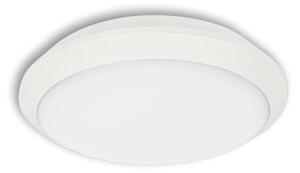 LED Zunanja stropna svetilka TIPO LED/18W/230V IP66