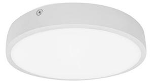 Palnas 61003580 - LED Kopalniška stropna svetilka EGON LED/30W/230V IP44 3000K