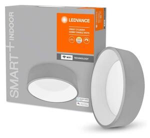 Ledvance - LED Zatemnitvena stropna svetilka SMART+ CYLINDER LED/24W/230V Wi-Fi