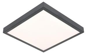 LED Stropna svetilka VITALI LED/24W/230V