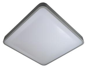 LED Stropna svetilka WILTON LED/24W/230V siva