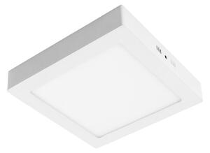 LED Stropna svetilka GERRY LED/24W/230V 3000K