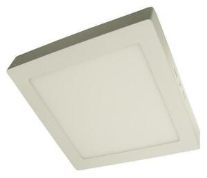 LED Stropna svetilka GERRY LED/24W/230V 4000K