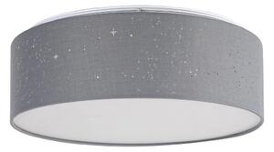 Rabalux - LED Stropna svetilka LED/22W/230V srebrna