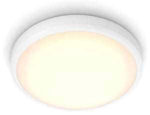 Philips - LED Kopalniška stropna svetilka BALANCE LED/17W/230V IP44