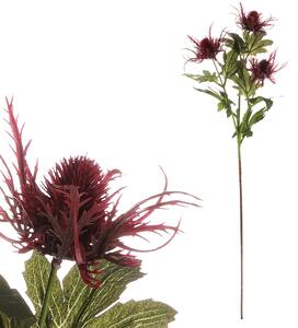 Umetno cvetje Eryngium rdeča, 66 cm