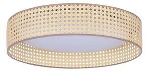 Duolla - LED Stropna svetilka ROLLER LED/24W/230V ratan