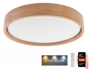 Brilagi - LED Stropna svetilka MANAROLA SMART LED/24W/230V + Daljinski upravljalnik Tuya