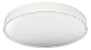 LED Stropna svetilka SAMER LED/32W/230V 4000K