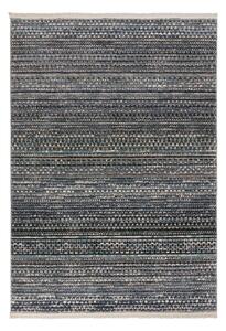 Modra preproga 240x320 cm Camino – Flair Rugs