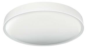 LED Stropna svetilka SAMER LED/40W/230V 4000K