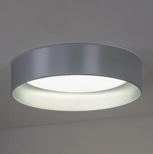 Duolla - LED Stropna svetilka ROLLER LED/24W/230V srebrna