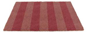 Predpražnik iz kokosovih vlaken 40x60 cm Pink Stripe – Artsy Doormats