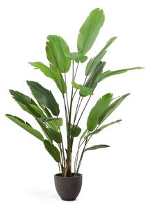 Umeten bananovec (višina 210 cm) – Kave Home