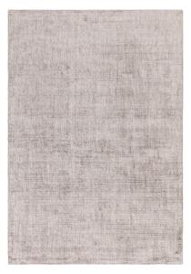 Siva preproga 170x120 cm Aston - Asiatic Carpets