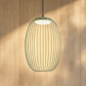 Lucande LED-zunanja viseča svetilka Richi, zelena, 40 cm, z možnostjo zatemnitve, zatemnjen, Zelena, Kovina, Sodobni