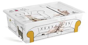 Bela plastična škatla za shranjevanje s pokrovom 55x39x16 cm C Box Style – KIS