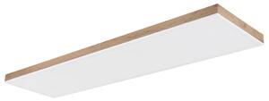 STROPNA LED-SVETILKA 2700-6500 K 230 V