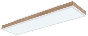STROPNA LED-SVETILKA 2700-6500 K 230 V