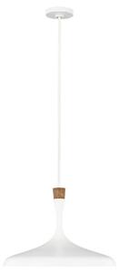 VISEČA SVETILKA Darwin 48.2/53.2 cm E27