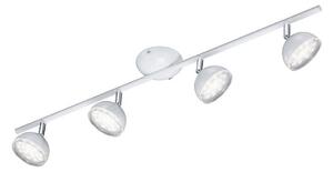 Trio - LED Žaromet BOLOU 4xLED/3,8W/230V