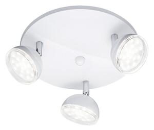 Trio - LED Žaromet BOLOU 3xLED/3,8W/230V