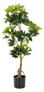 MID.YOU Umetna Rastlina Schefflera