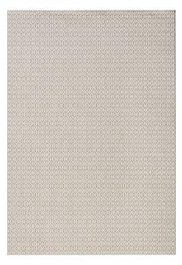 Siva zunanja preproga NORTHRUGS Coin, 80 x 150 cm