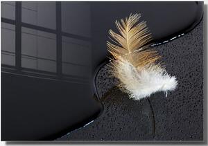 Steklena slika 100x70 cm Feather – Wallity