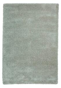 Svetlo zelena preproga 80x150 cm Sierra – Think Rugs