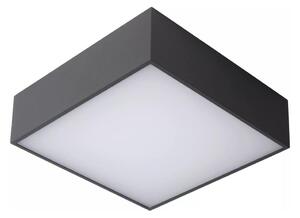 Lucide 27816/10/29 - LED Kopalniška stropna svetilka ROXANE LED/12W/230V IP54