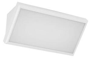 LED Zunanja stenska svetilka LED/12W/230V 6400K IP65 bela