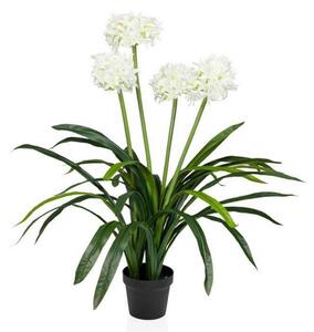 MID.YOU Umetna Rastlina Agapanthus
