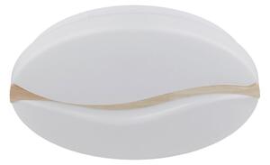 STROPNA LED-SVETILKA LETICIA 3000/6000/4200 K 230 V